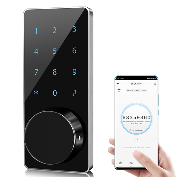 Advancing Security: Exploring the Advantages of WiFi App-Controlled Bluetooth Cabinet Locks Over Traditional Locking Mechanisms