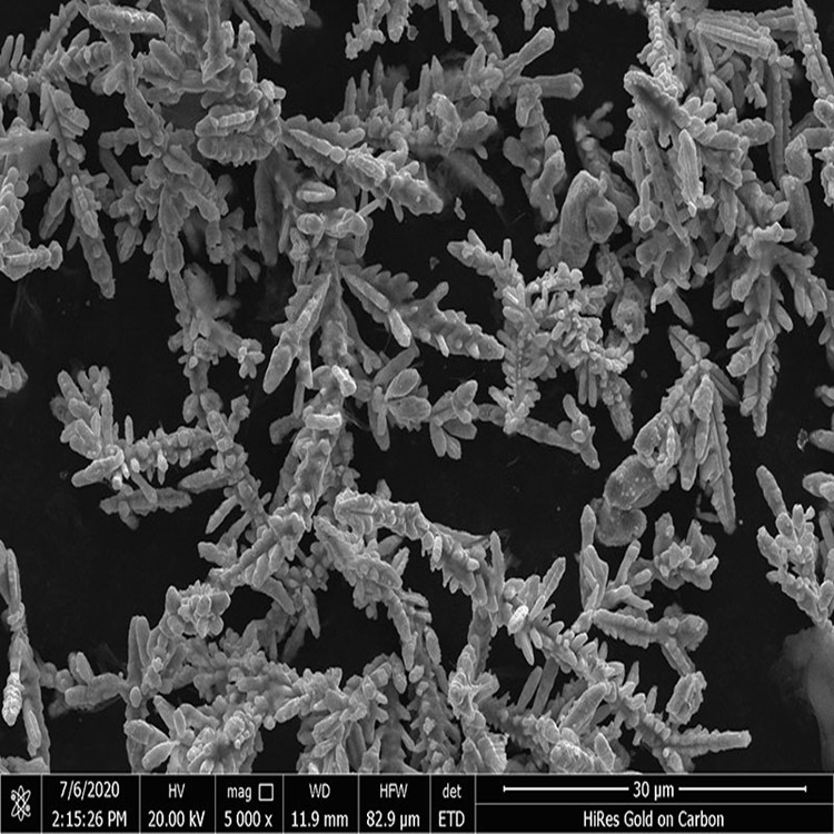 Unraveling the Composition of Dendritic Silver-coated Copper Powder