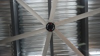 7.3m Giant Fans Company Transforms Industrial Spaces with Colossal Airflow Innovation